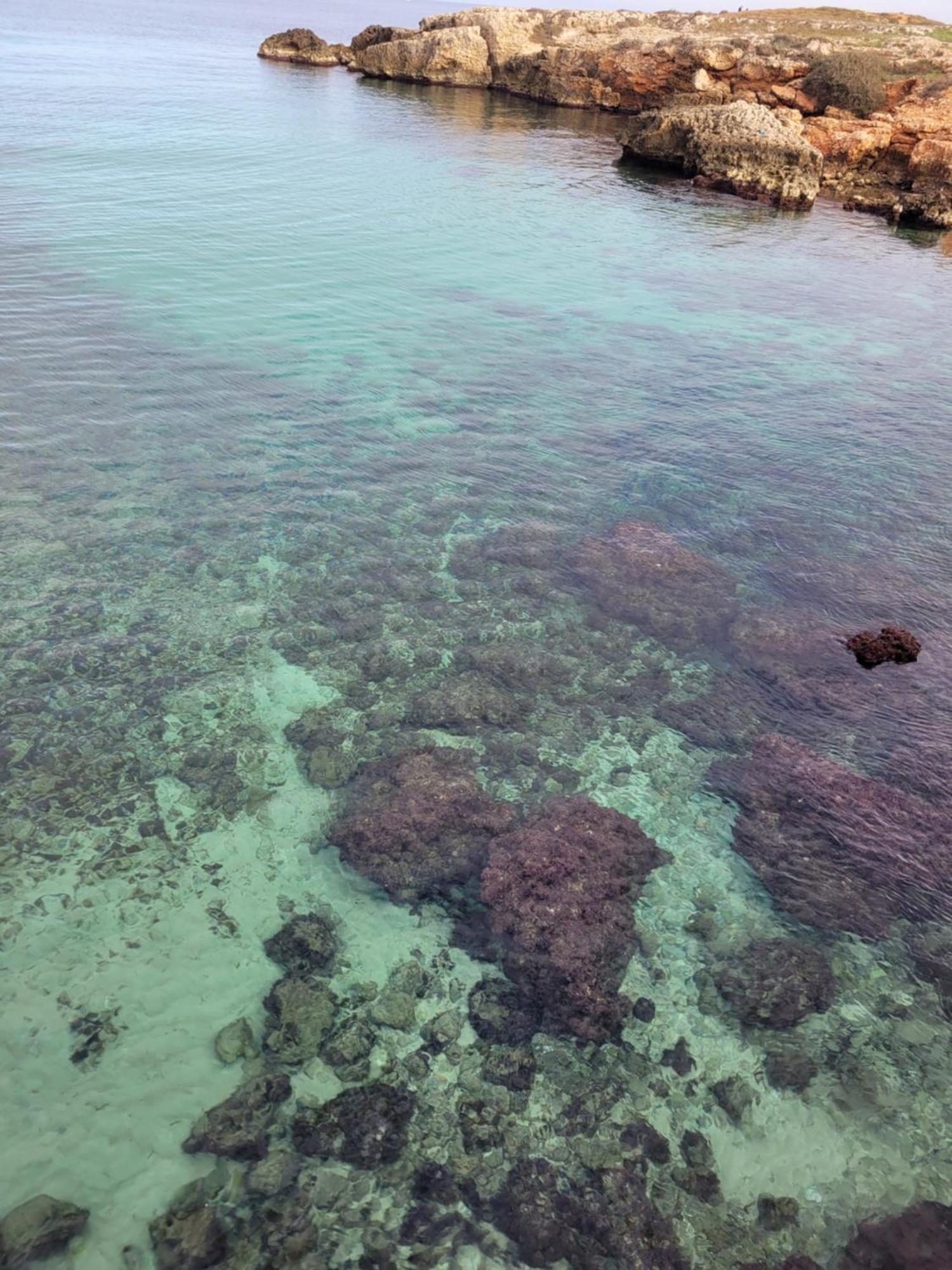 Cala Paradiso Монополи Экстерьер фото