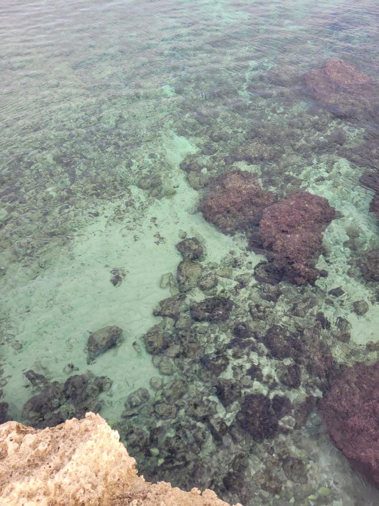 Cala Paradiso Монополи Экстерьер фото
